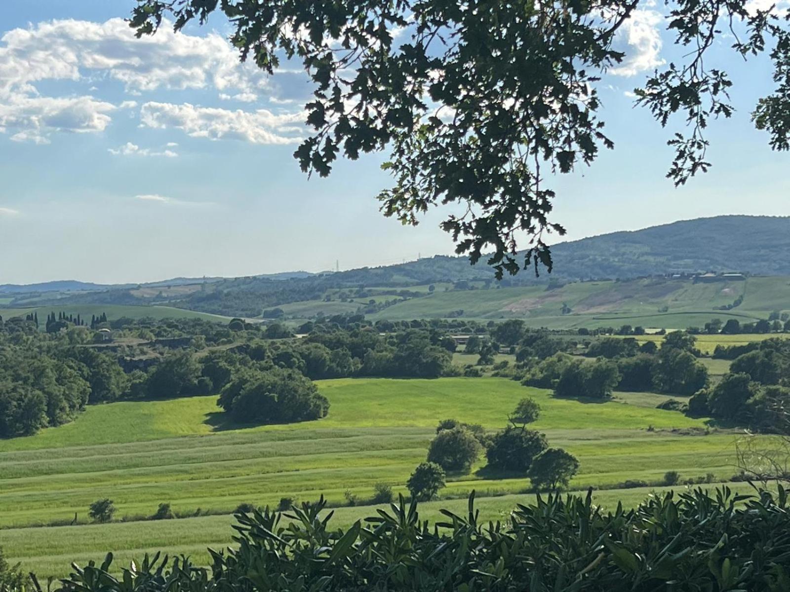 Agriturismo La Castellina Сатурнія Екстер'єр фото