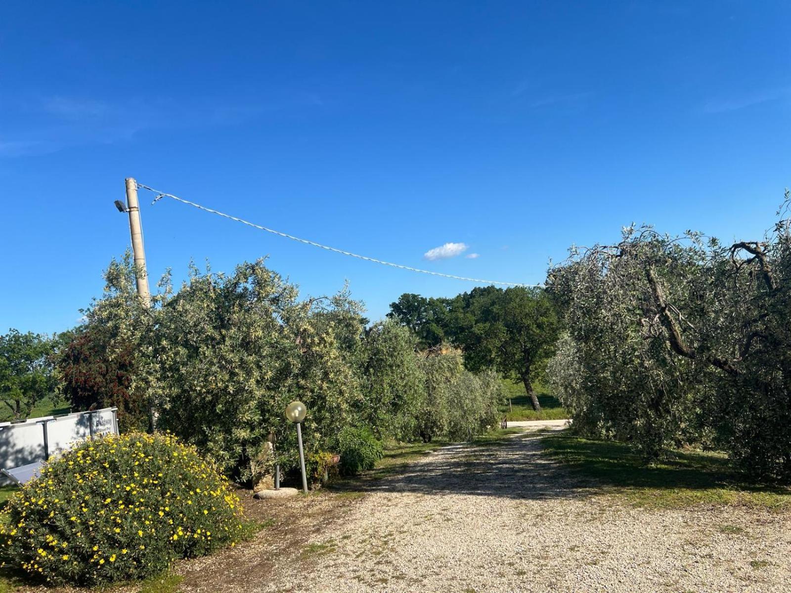 Agriturismo La Castellina Сатурнія Екстер'єр фото